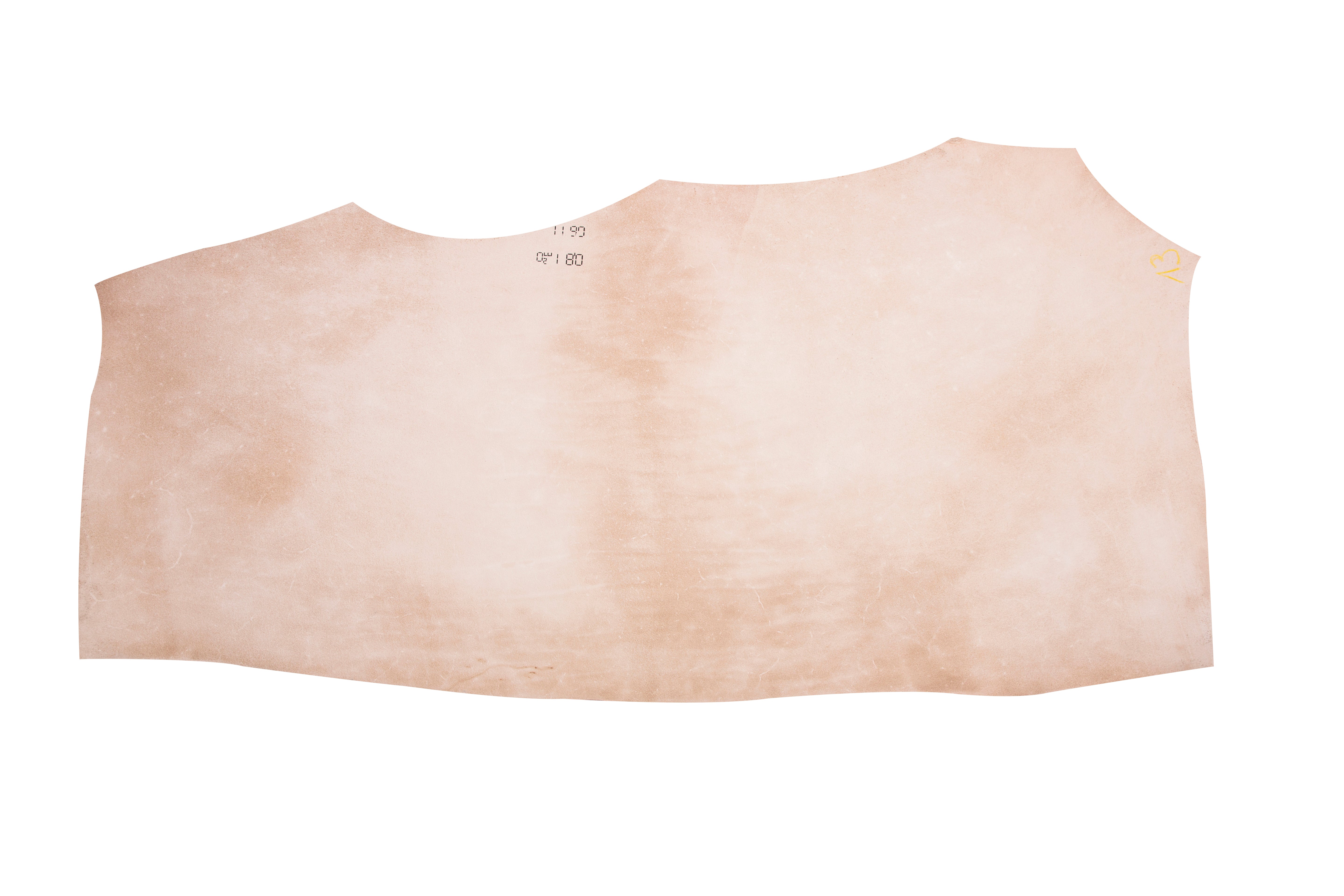 BLN Shoulders 1,2-1,5 mm