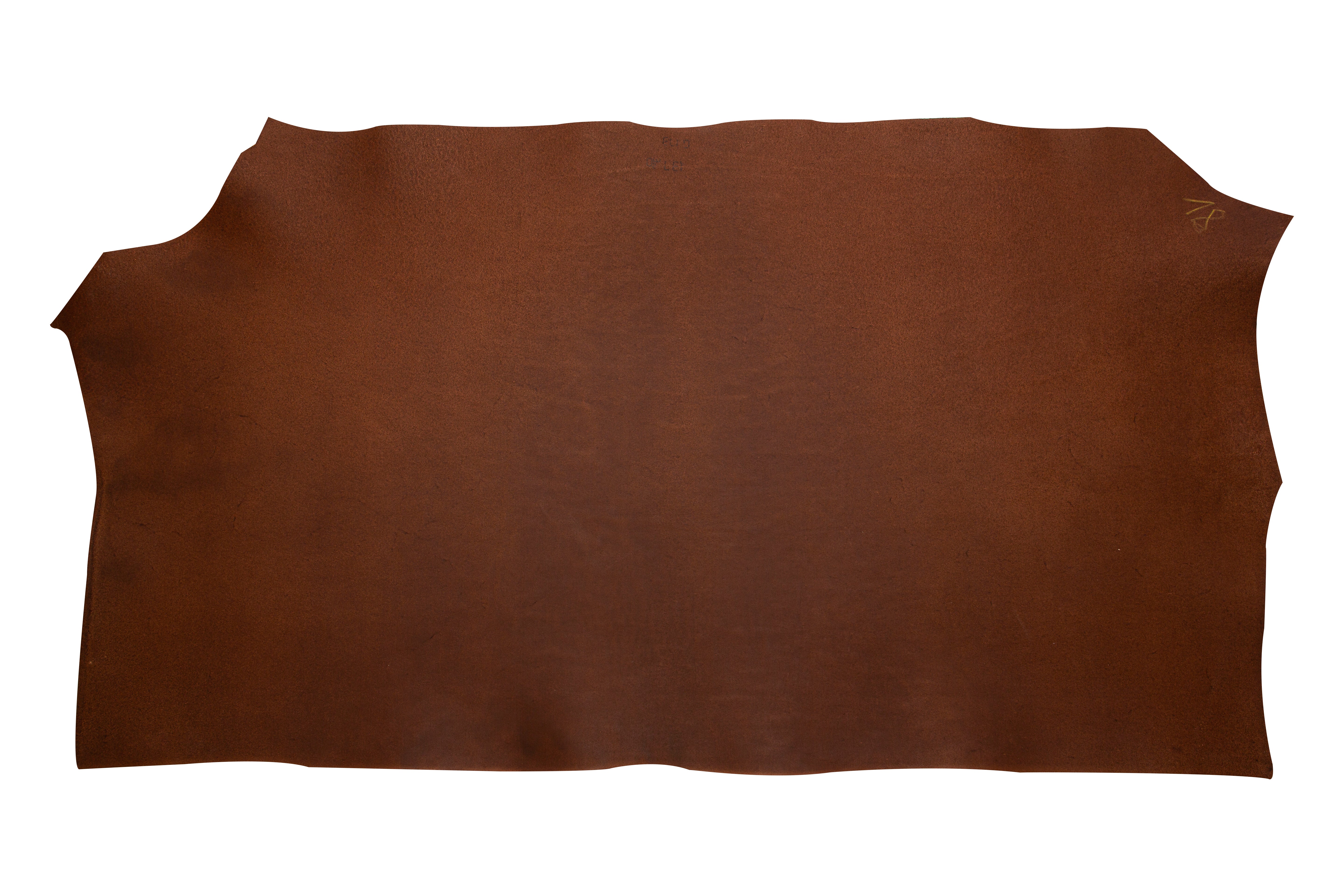 Softilux Shoulders Oldie