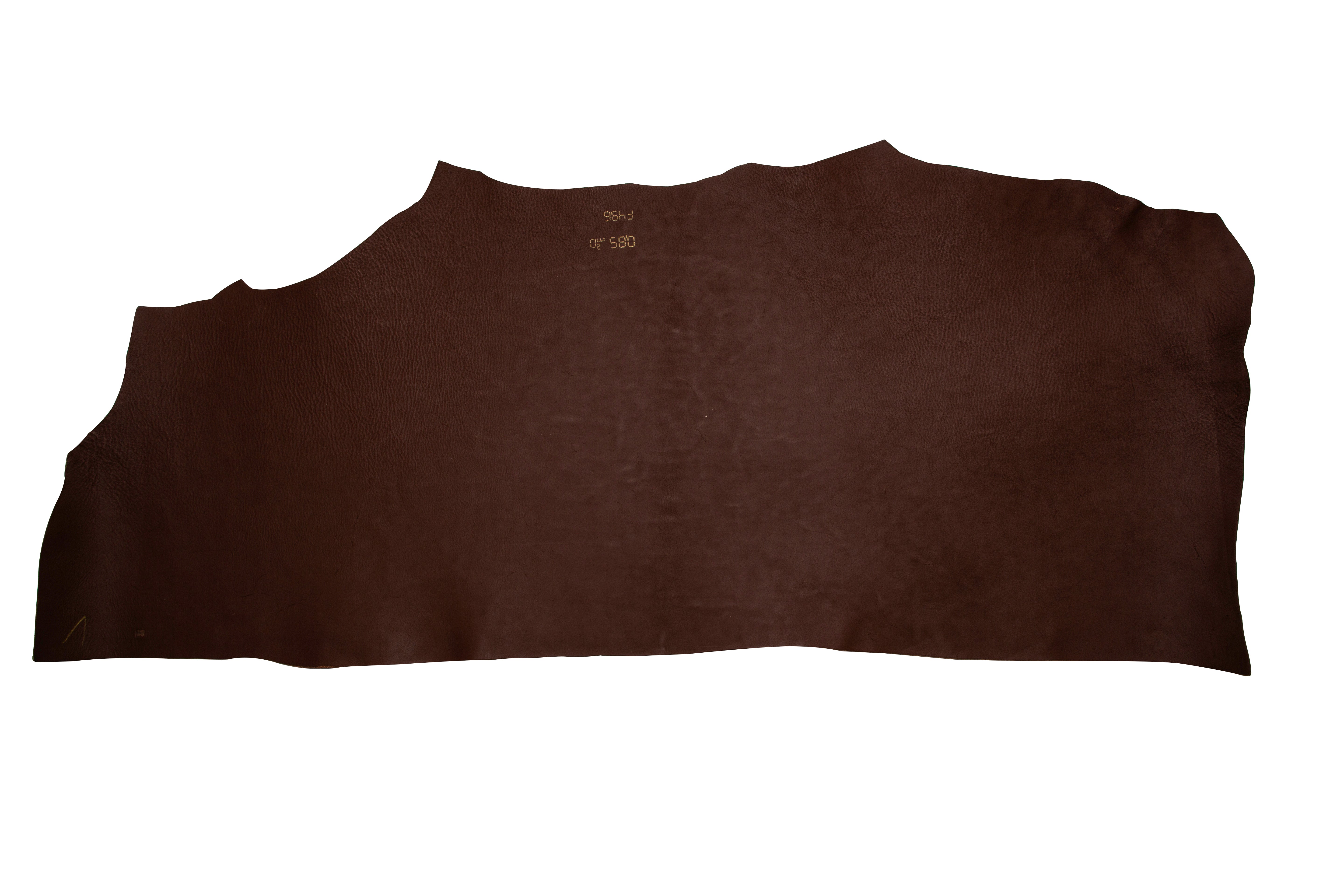 Waxy Shoulders Chestnut