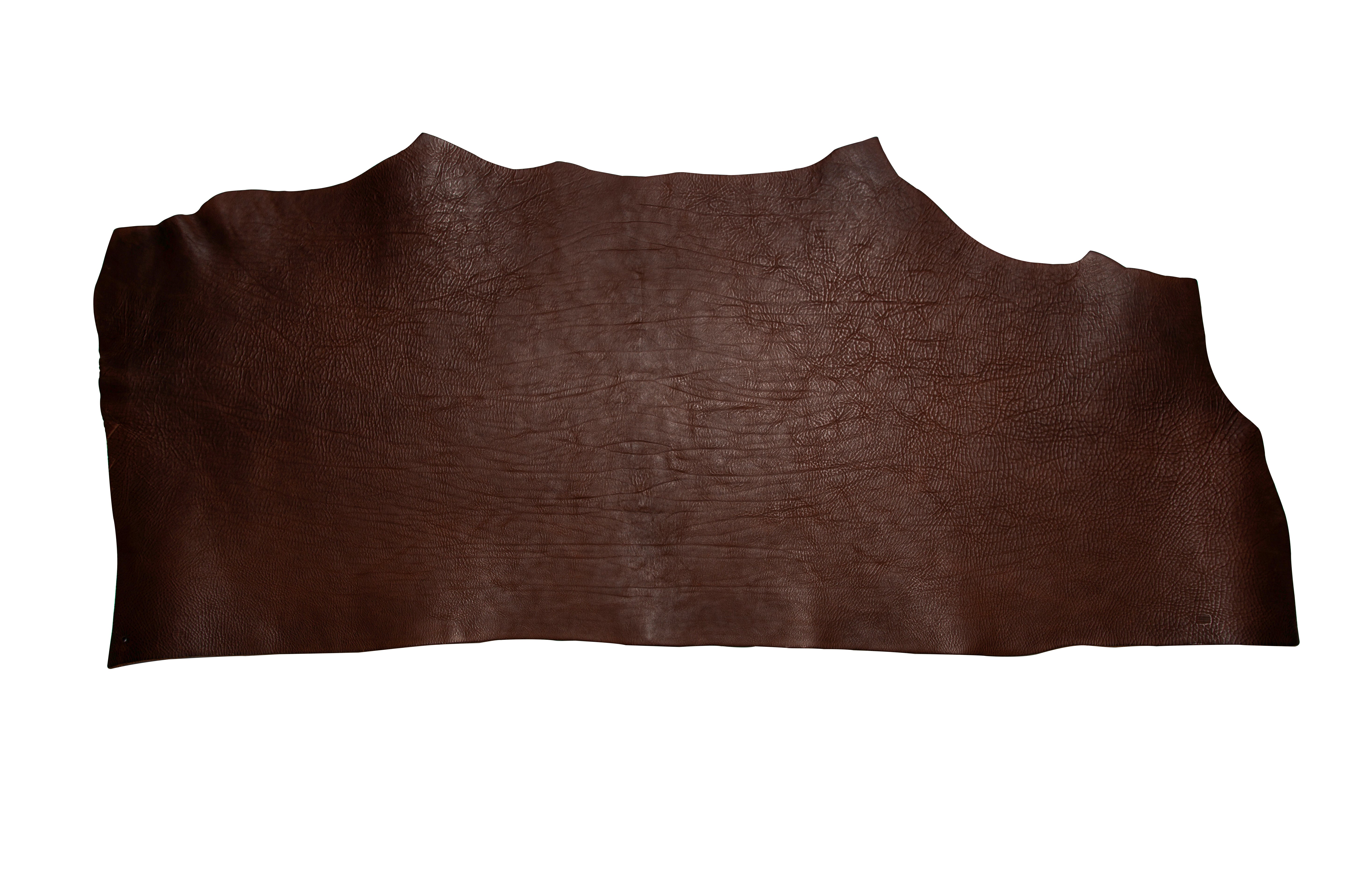 Waxy Shoulders Chestnut