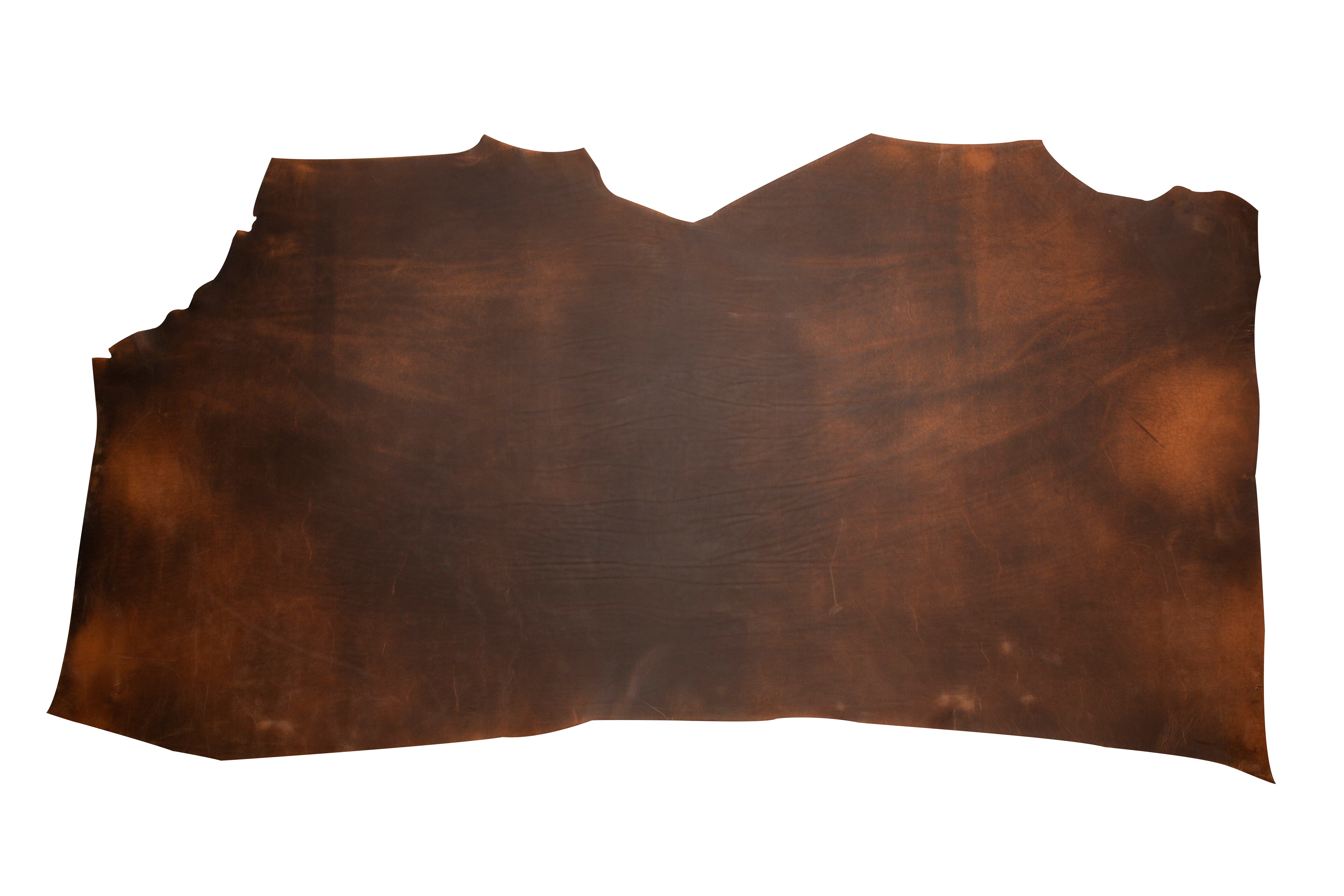 Colorace Shoulders Nutmeg