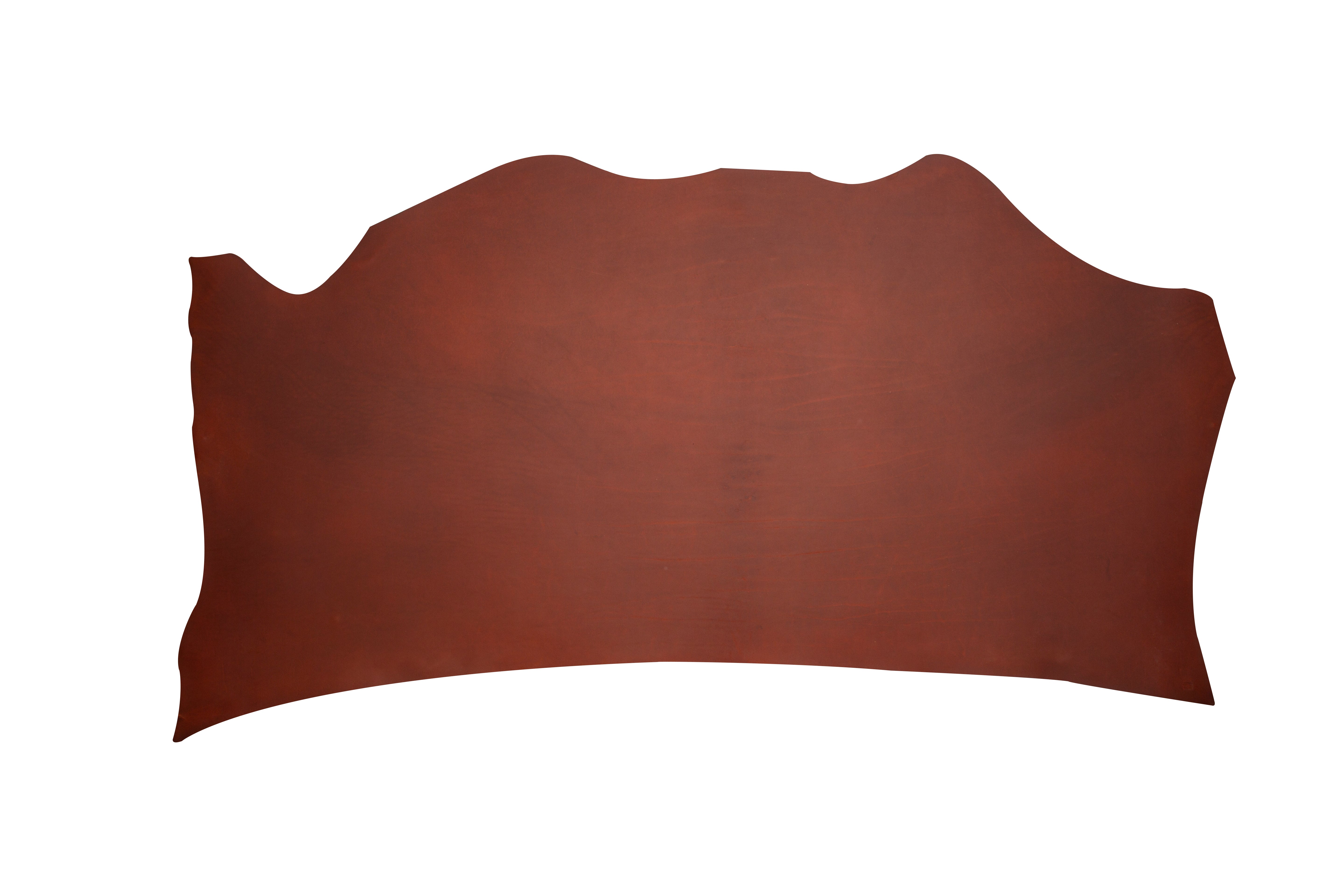 Colorado Shoulders Cognac