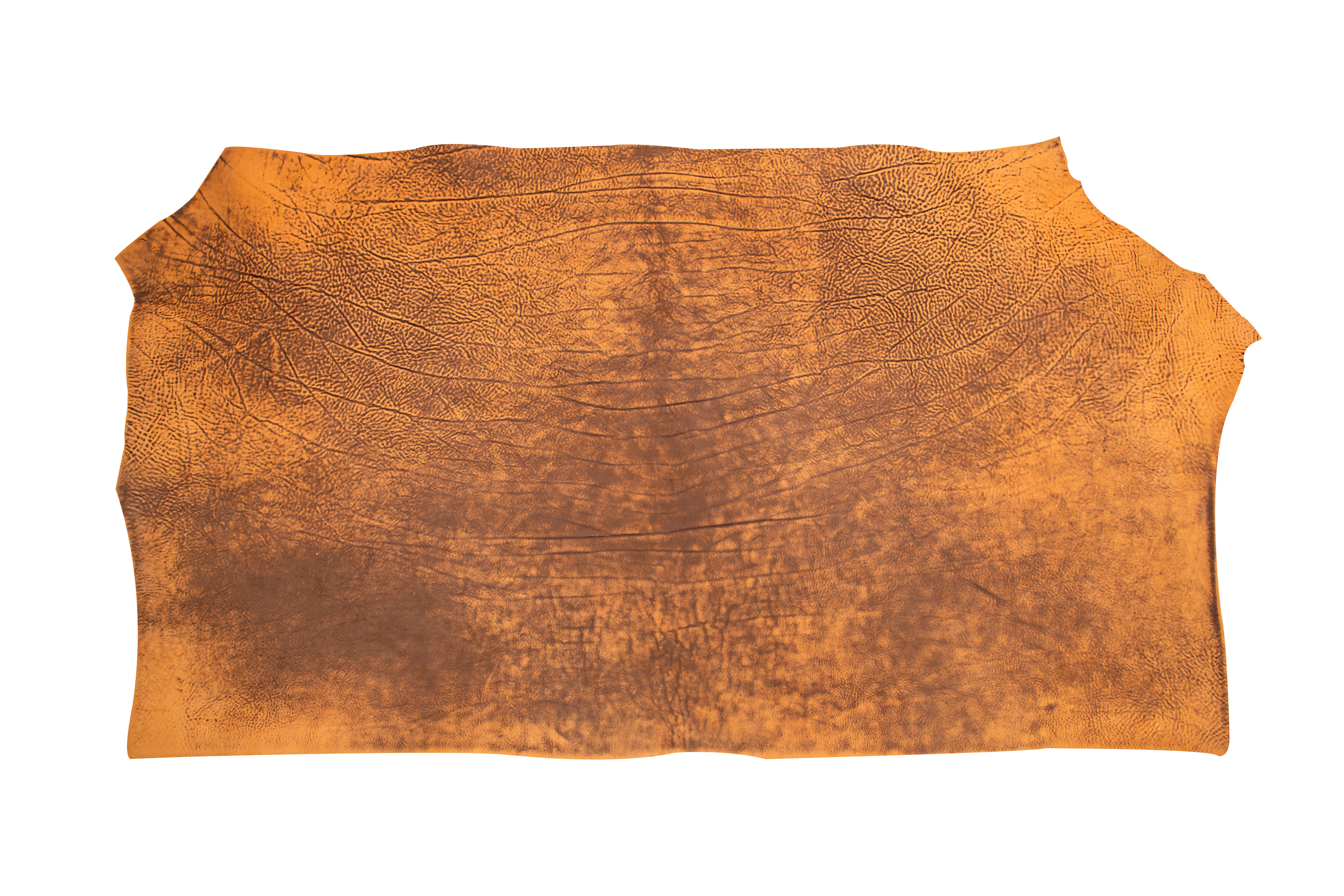 Softilux Shoulders Oldie